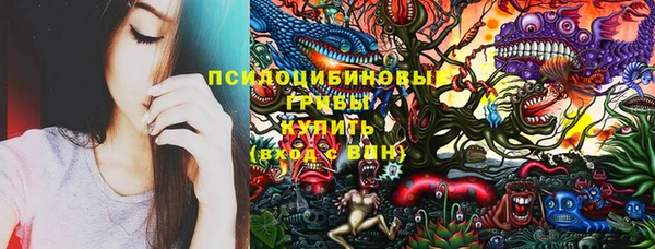 молекула духа Белокуриха
