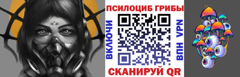 Псилоцибиновые грибы Psilocybe  Семикаракорск 